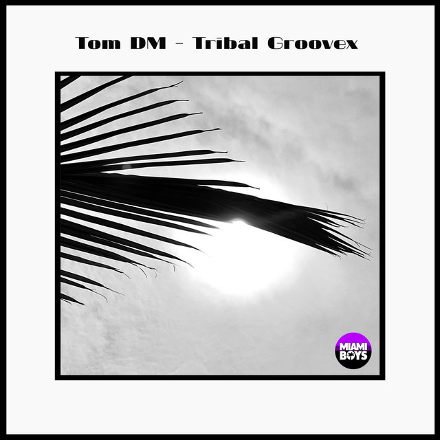 Tribal Groovex - Radio-Edit cover art