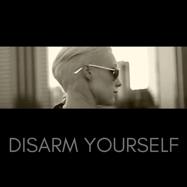 Disarm Yourself (The Remixes) cover art