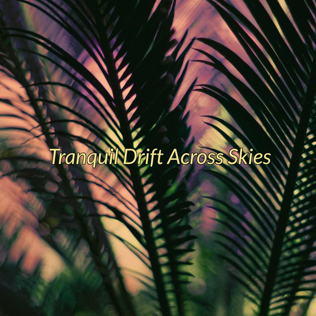 Tranquil Drift Across Skies cover art
