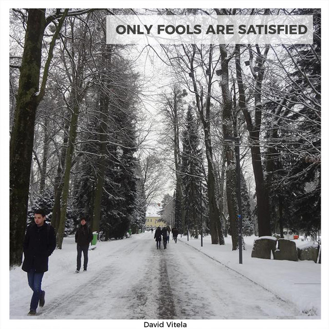 Only Fools Are Satisfied cover art