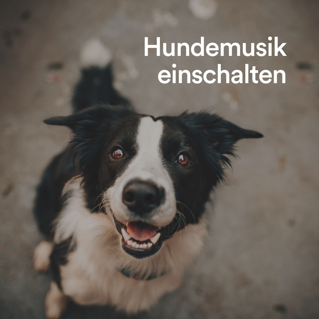 Hundemusik einschalten cover art