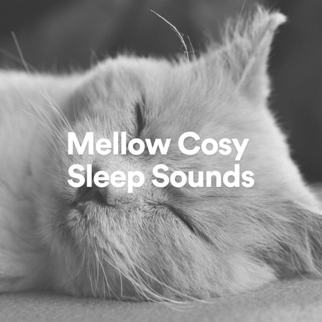 Brown Noise Sleep