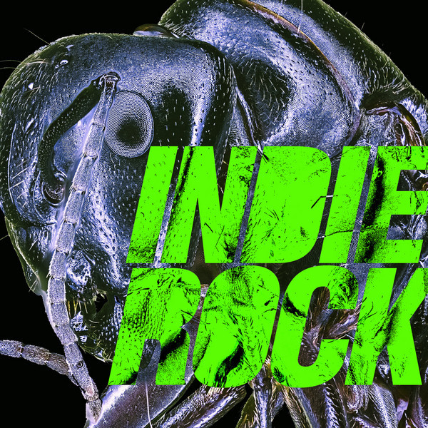 Indie Rock cover
