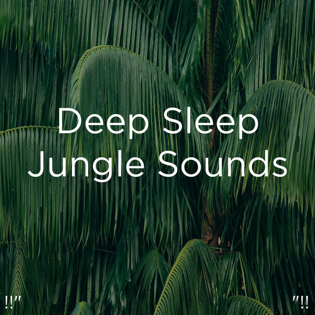 !!" Deep Sleep Jungle Sounds "!! cover art
