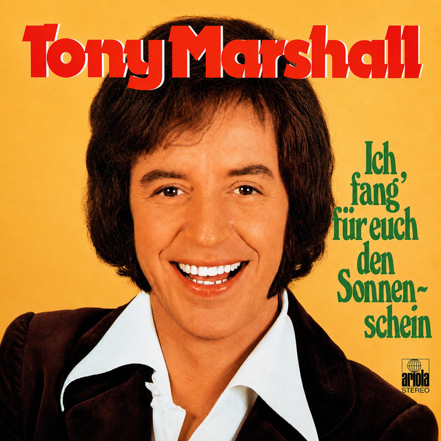 Ich fang' für euch den Sonnenschein cover