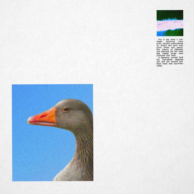 Daylighter cover art