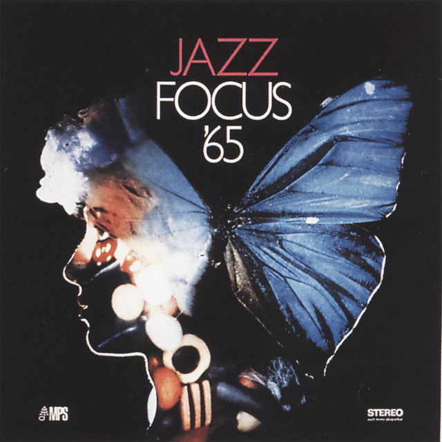Focus 65