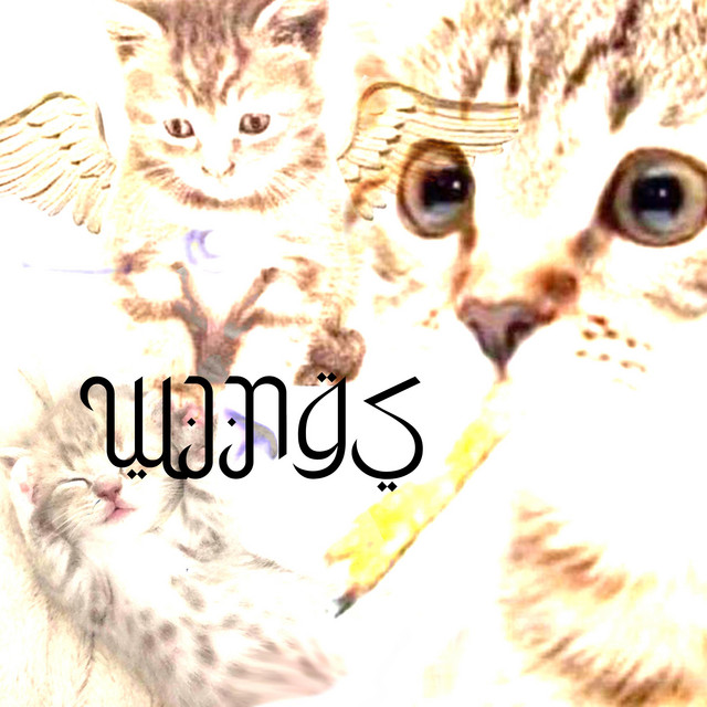 WINGS cover art