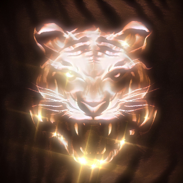 Обкладинка: TIGER — Jenmcyg