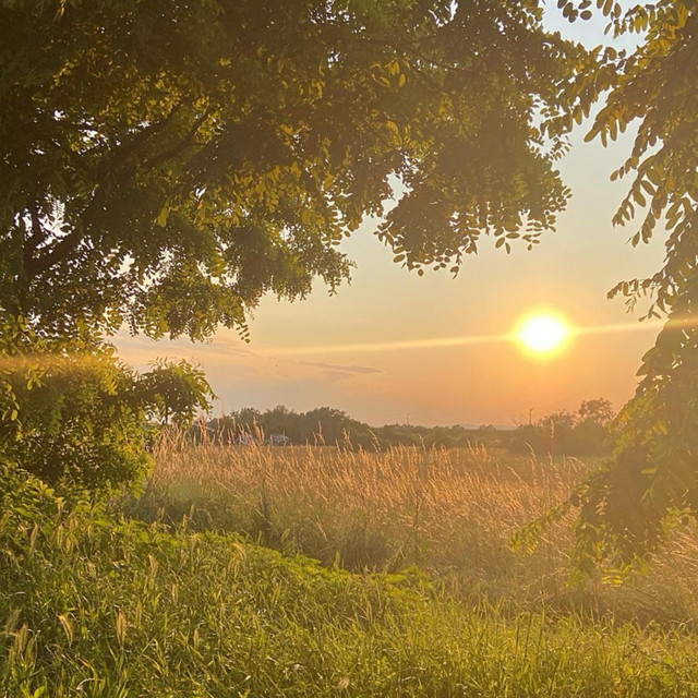 Sunshine! cover art