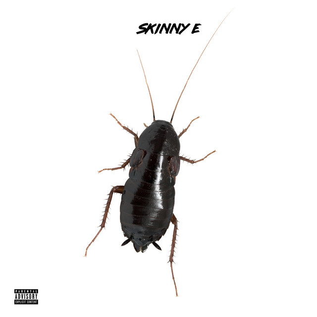 Cockroach cover art