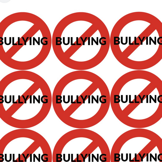 Not Bully me