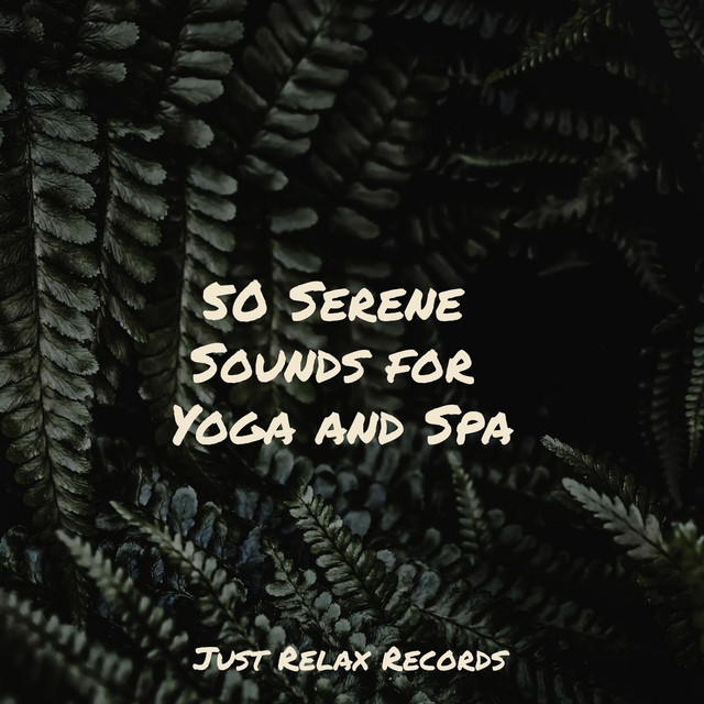 50 Serene Sounds for Yoga and Spa cover art