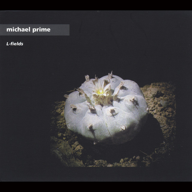 Michael Prime photo