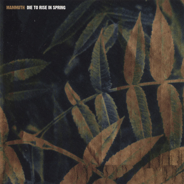 Die To Rise In Spring cover