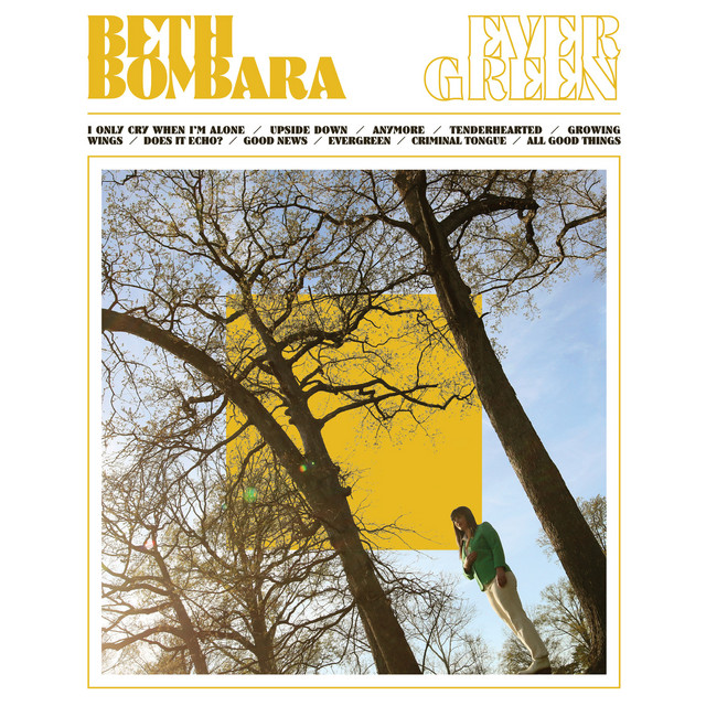 Evergreen cover