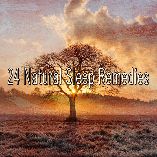 24 Natural Sleep Remedies - Album by Sleep Sounds of Nature | Spotify