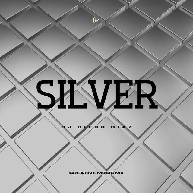 Silver - Huaracha