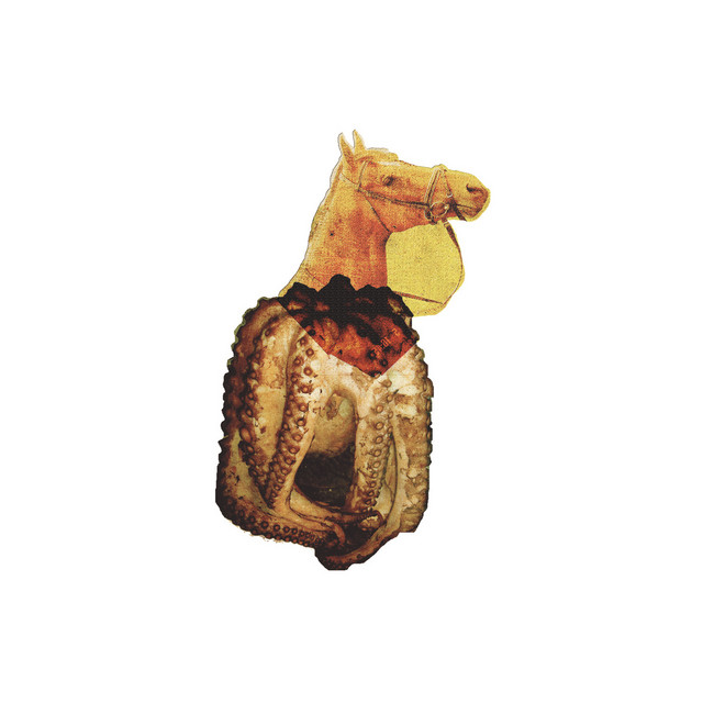 Seahorse cover art