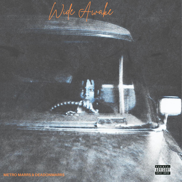 Dash cover art