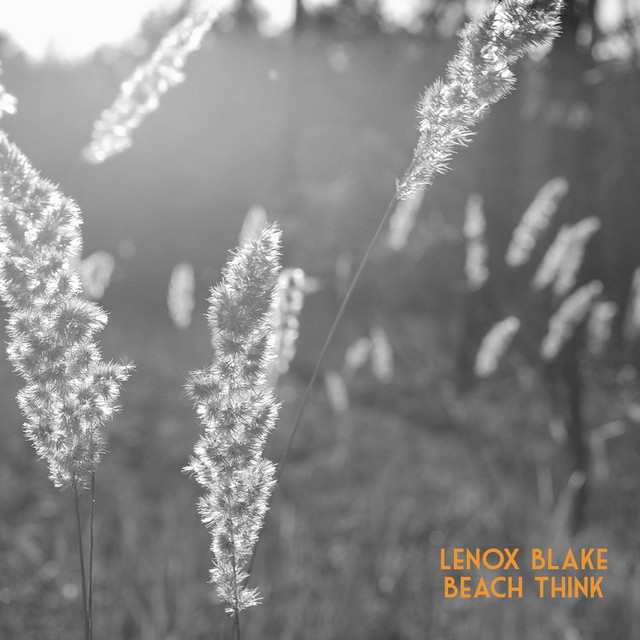 Beach Think cover