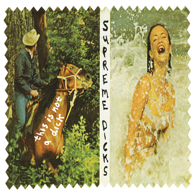 The Is Not A Dick & Rarities cover art