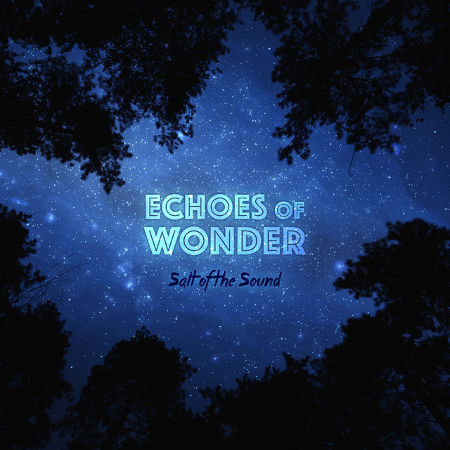 Echoes Of Wonder