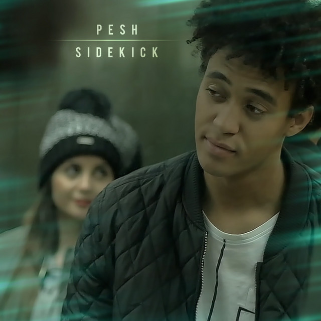 Sidekick cover