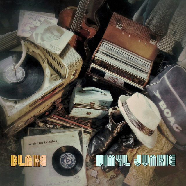Vinyl Junkie cover art