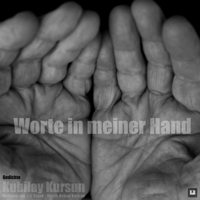 Kubilay Kursun