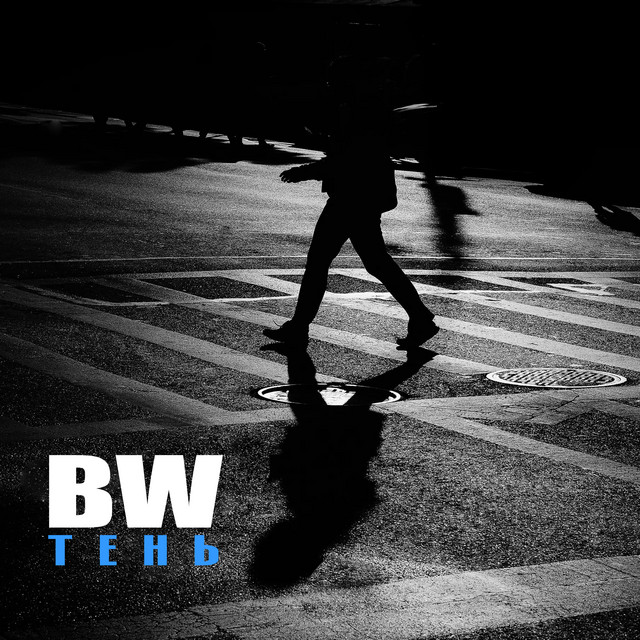 Тень cover art