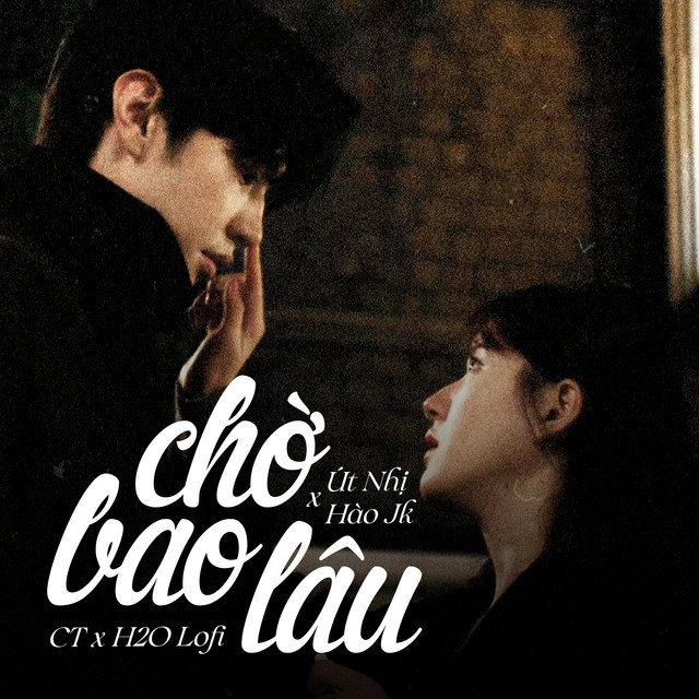 Chờ Bao Lâu (Lofi) cover art