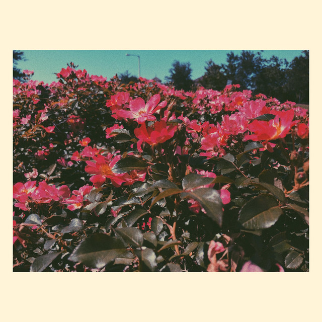 EMPATH cover art