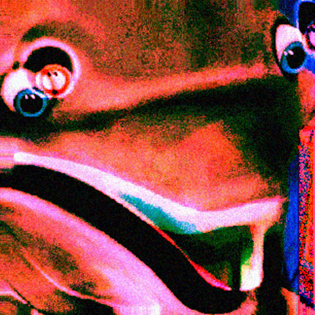 dolphins aren't green cover art