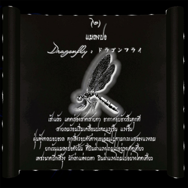 Dragonfly cover art