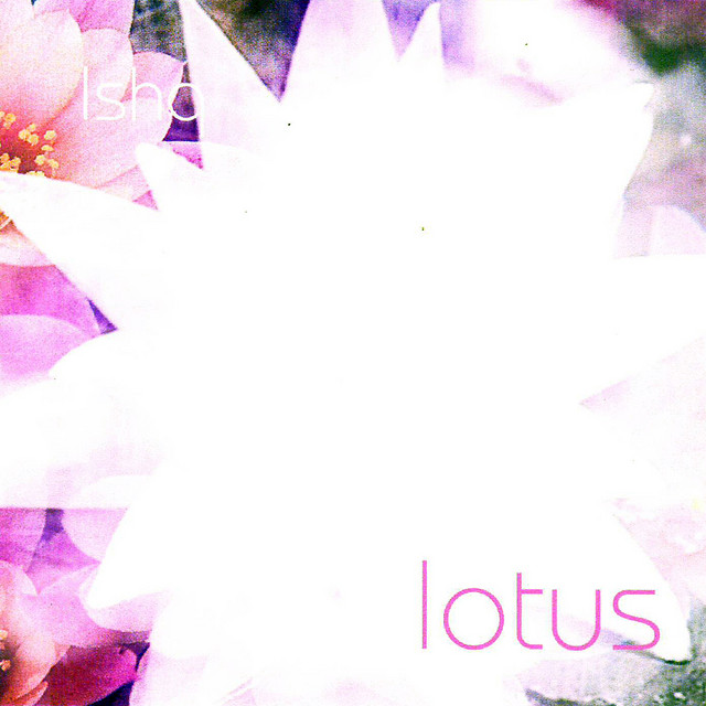 Lotus (Various Singles 2001 - 2006) cover art
