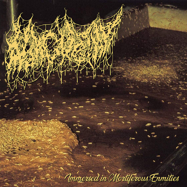 Immersed in Mortiferous Enmities cover