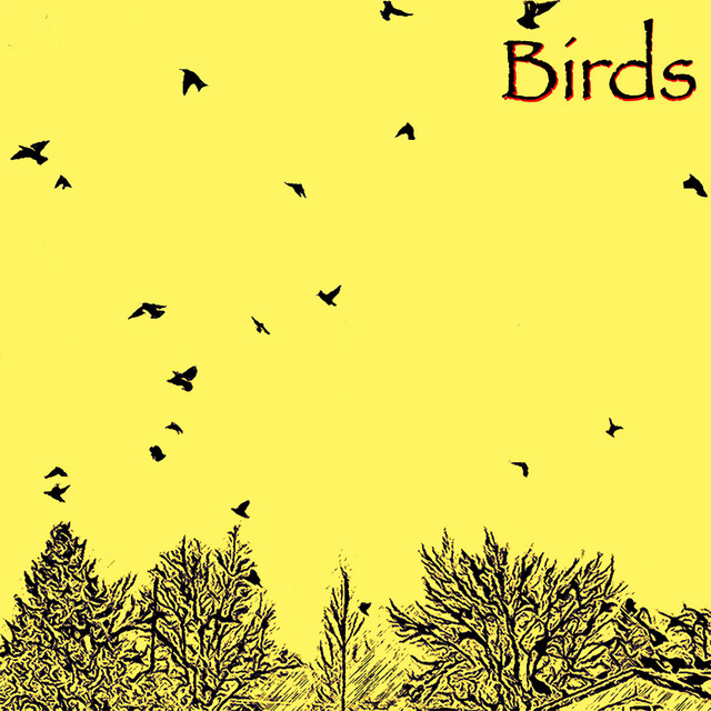 Birds cover art