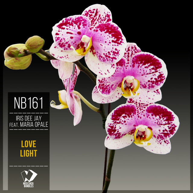 Обкладинка: Love Light - Original Mix — Iris Dee Jay