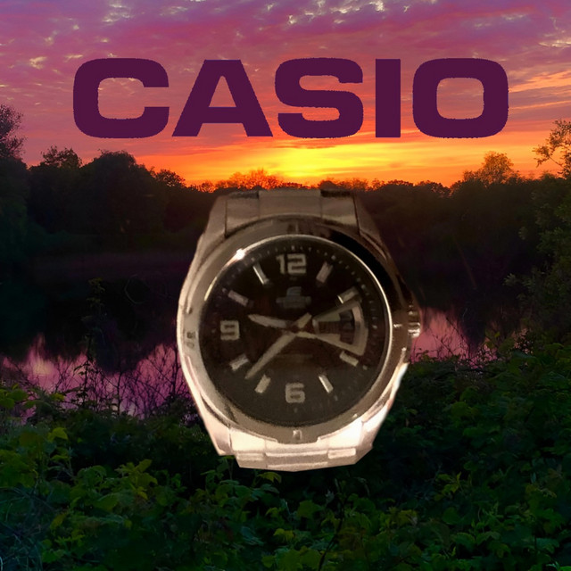 casio cover art