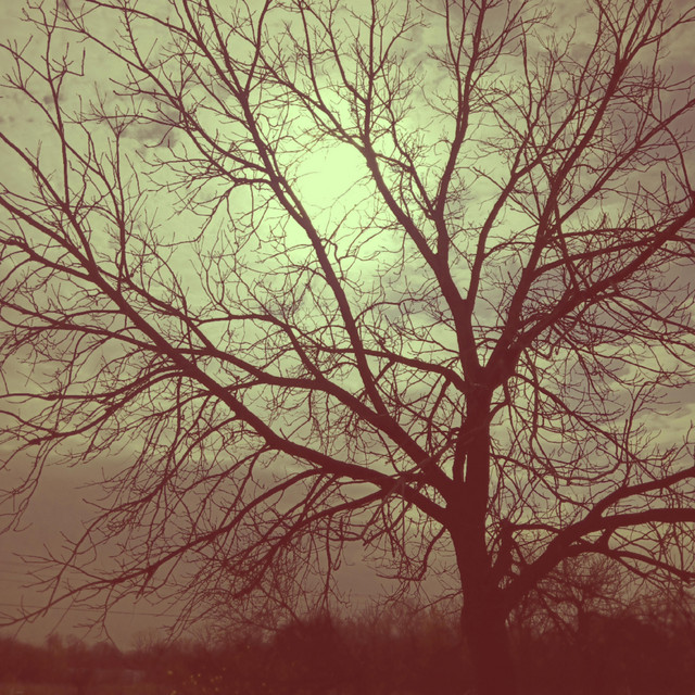 Stay With Me
