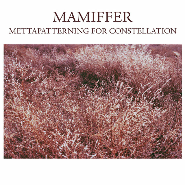 Mettapatterning For Constellation (single)
