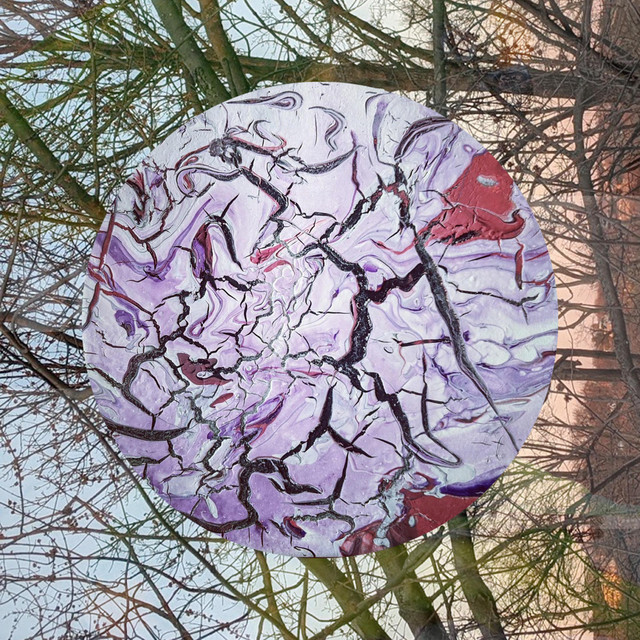 Ex Animalia cover art