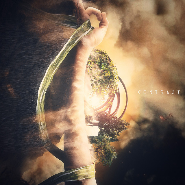 Contrast cover art