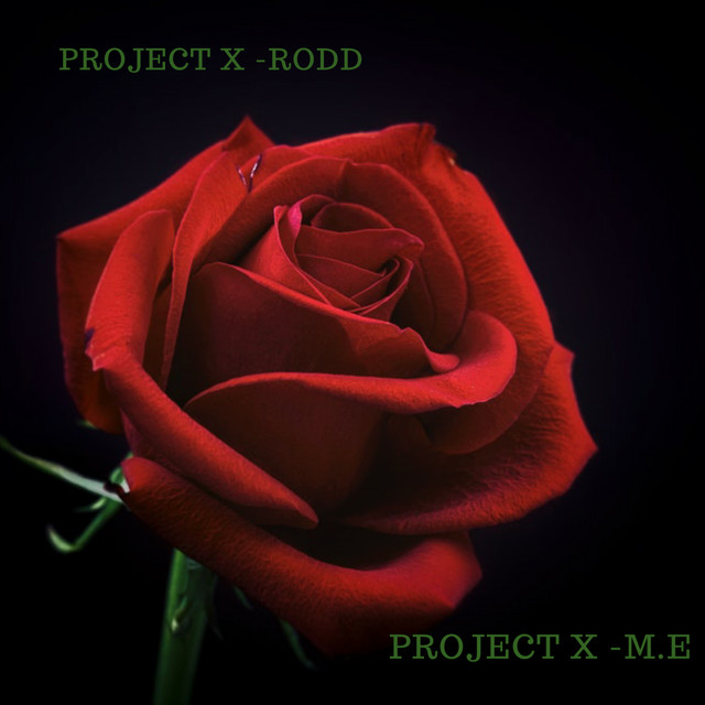 All In My Feelings - Single by Project X - Rodd | Spotify