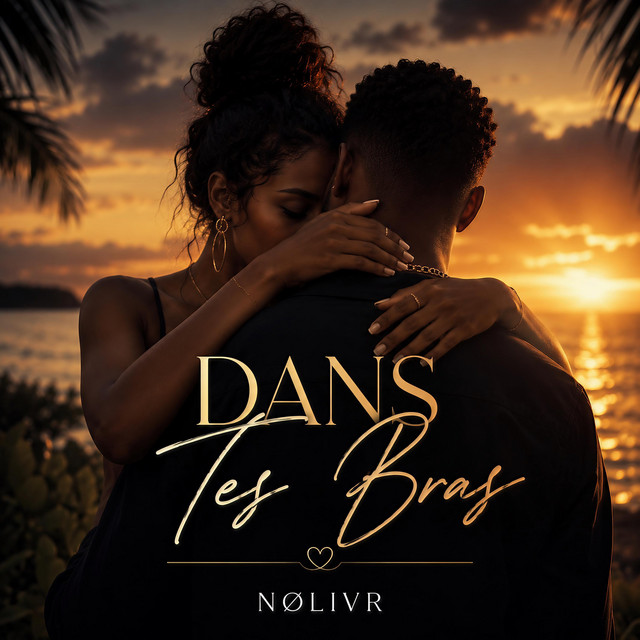 Dans tes bras cover