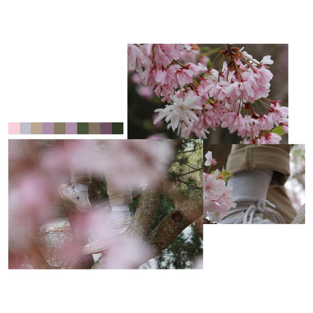 khaki cuffs cover art