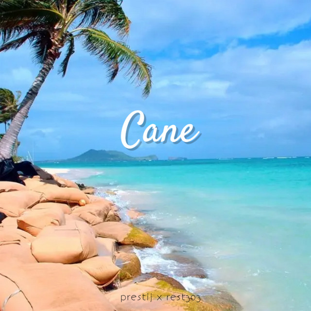 CANE cover art