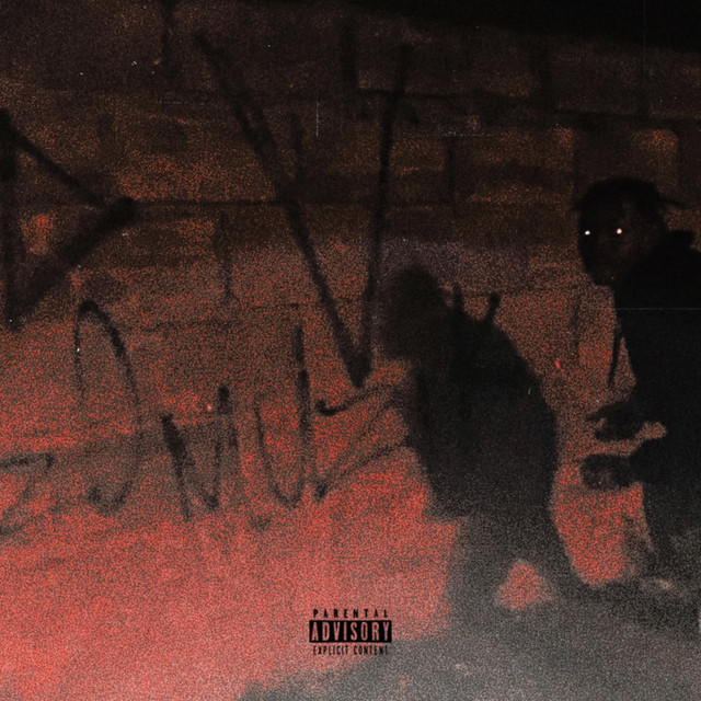 * schiz0 MUZIK cover art