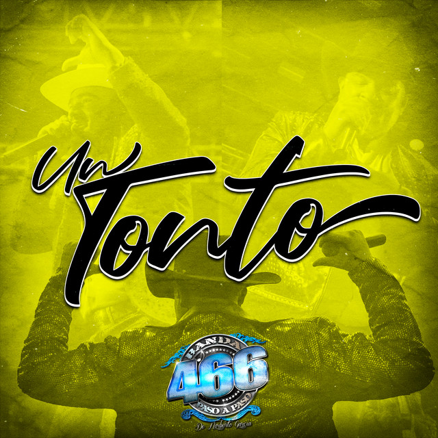 Un Tonto album image